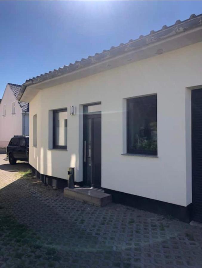 Ferienwohnung Zwergmoewe Росток Екстер'єр фото